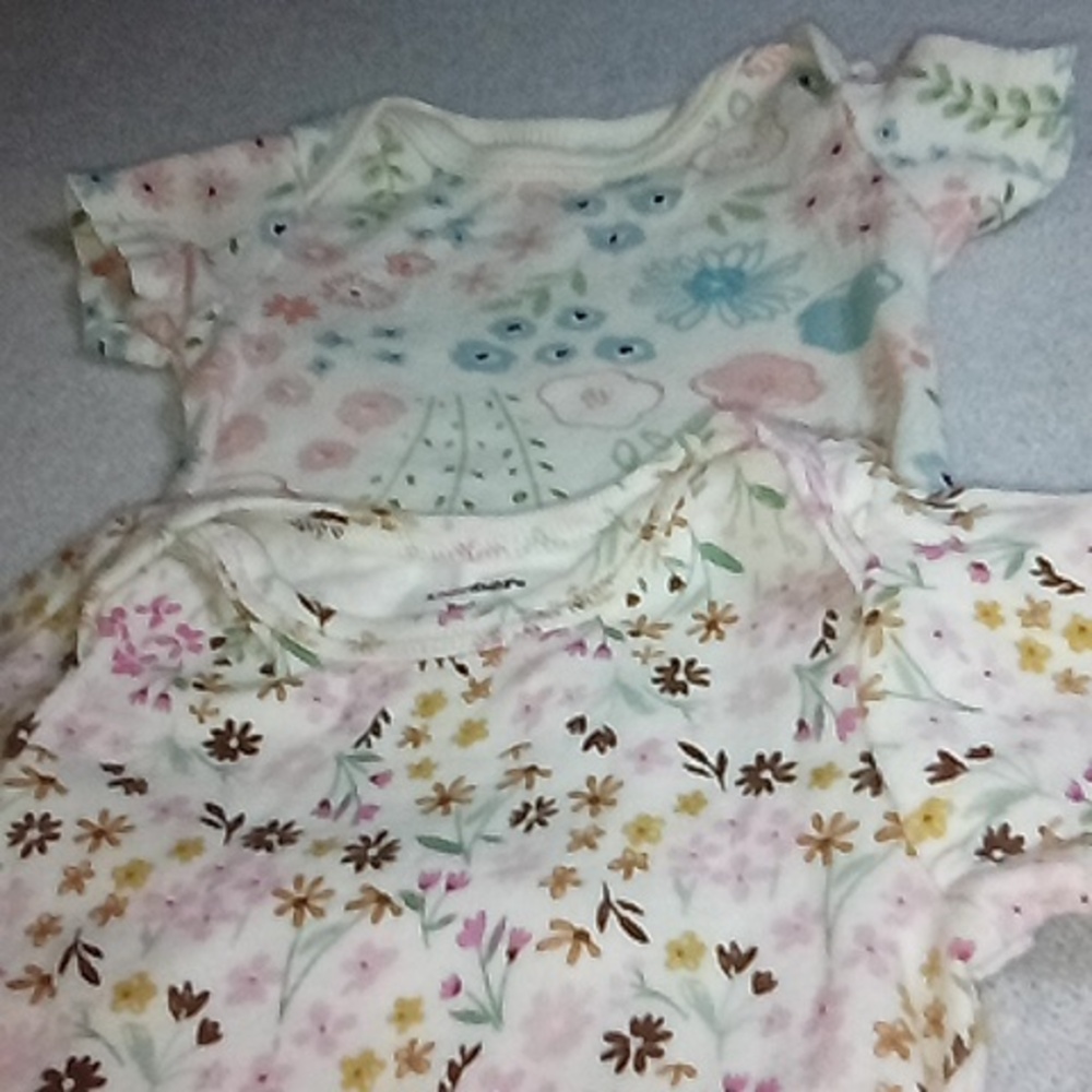4/$20 Gerber Newborn Baby Girls Lot of 2 Floral Onesies
